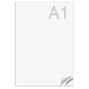 bec3ee9d433a5cba59fa1734d626366b_x