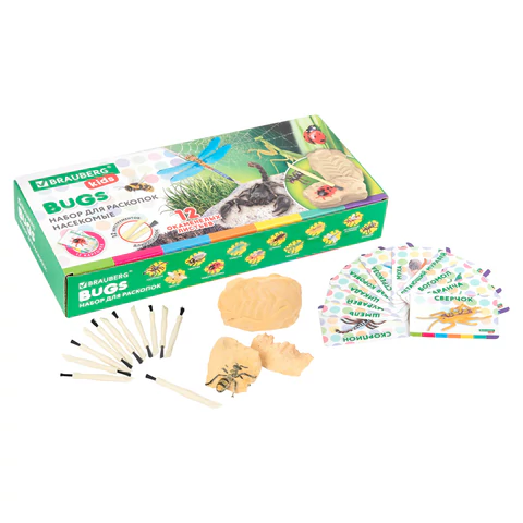 Набор для раскопок "Насекомые", 12 видов, карточки, инструменты, BRAUBERG KIDS, 665127 - МСК «Форвард»