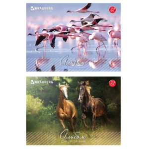 940e701eb90a4203921455162fa6f8b6_x