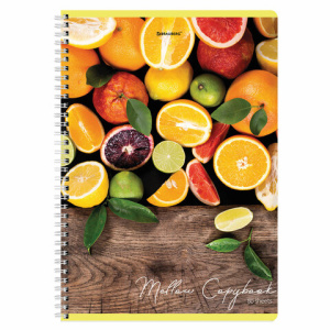 3da43ac3ecc6c29f2a70dafe0a621145_x