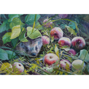 5342e5fcff2d2ef4a9ec28daa55aa472_x