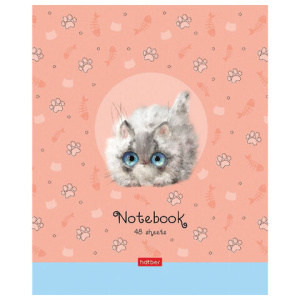 8d2a556aa792da531cb0e01fd60b3b09_x