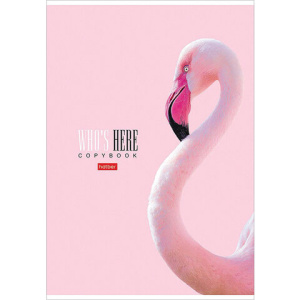 a8e7eb710a47187621130b846d4cbdec_x