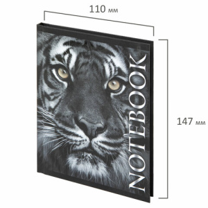 0e2d1602f4289706f7177ade2659aa10_x