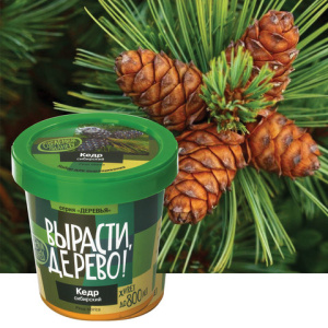 3358c17bcf87b45a0fda3ed9e35dd208_x