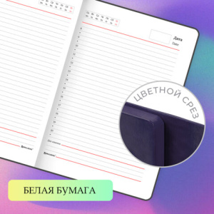 459e88355569c2ff63df585adc808e56_x