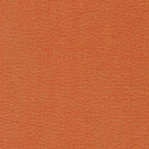 75bd5fa1357c9d34f246bcdda862f9ca_x