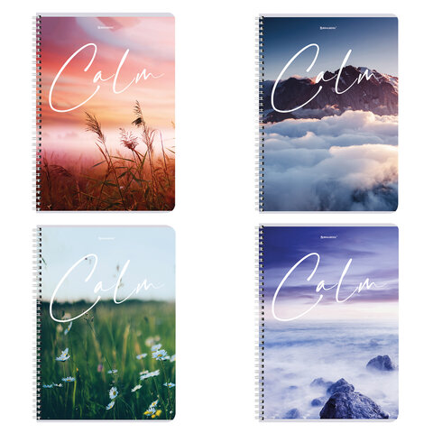 Тетрадь А4 96л. BRAUBERG гребень, клетка, обложка картон, Calm, 404059