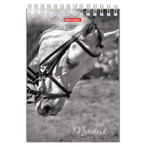 98425b03287c8512a492c8f4b591a76c_x