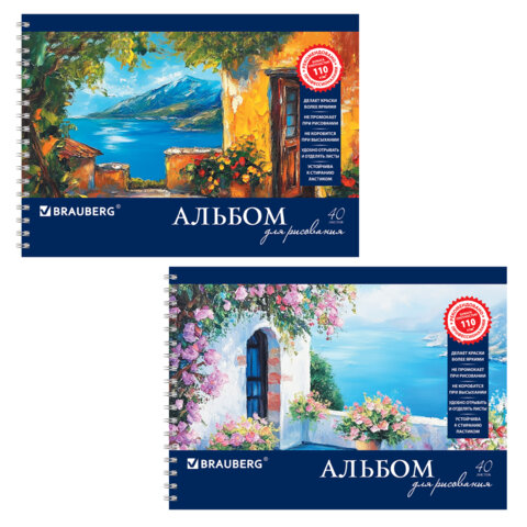 Альбом д/рис. А4 40л., гребень, обложка картон, BRAUBERG, 205х290мм, Пейзаж с цветами (2вида),103730
