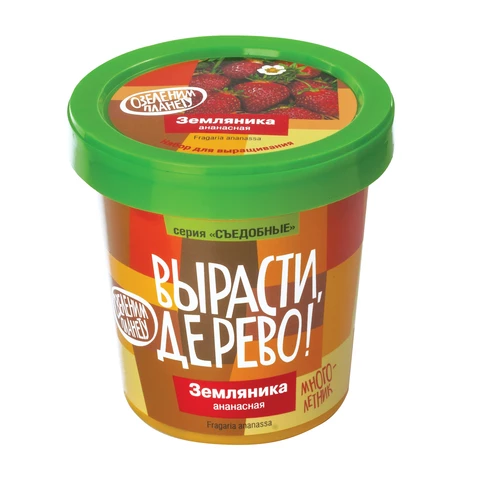 Набор для выращивания растений ВЫРАСТИ ДЕРЕВО! "Земляника ананасная" (банка, грунт, семена), zk-038 660827
