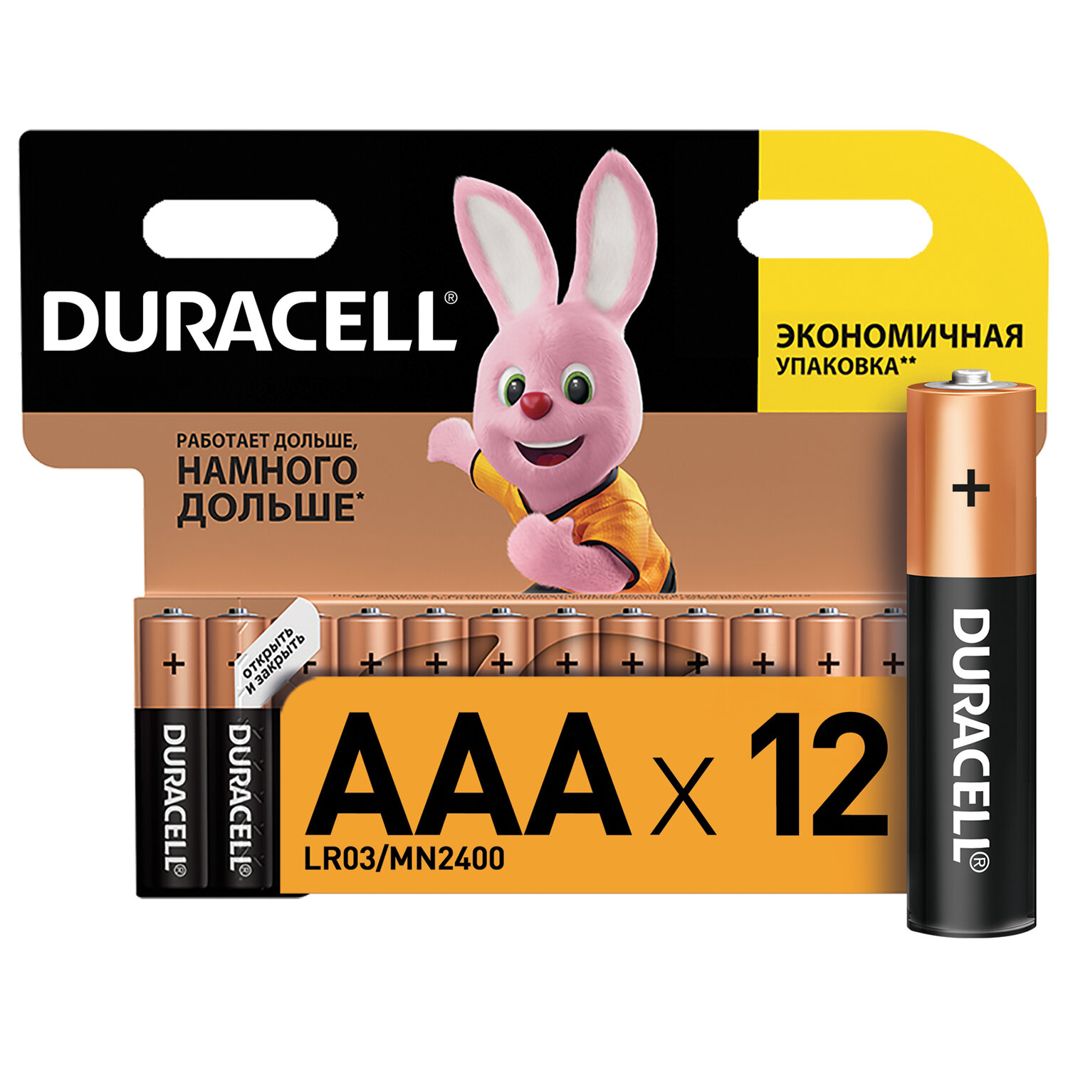 Батарейки КОМПЛЕКТ 12 шт, DURACELL Basic, AAA(LR03, 24А),алкалиновые,мизинчиковые,блистер,451362