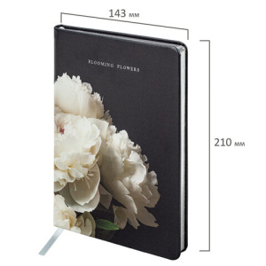 1d0258717d8e63c88f181455f42f84a6_x