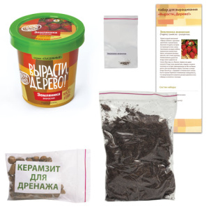 058fd80032362f9eb339cd49e2e30995_x