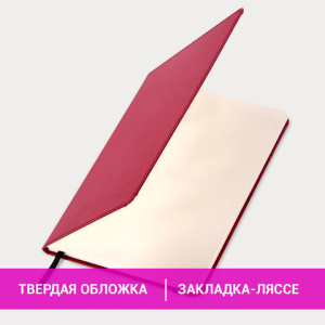 3efee0dd978542fd43a4b62338a3fefd_x