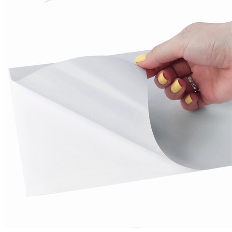 Этикетка самоклеящаяся 210х297 мм, 1 этикетка, полиэстер, серебро, 25 листов, TANEX, сырье Финляндия, 114544, TW-2000 114544 - МСК «Форвард»