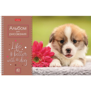 5b4b69a93446f14503efd32b6fd5836e_x