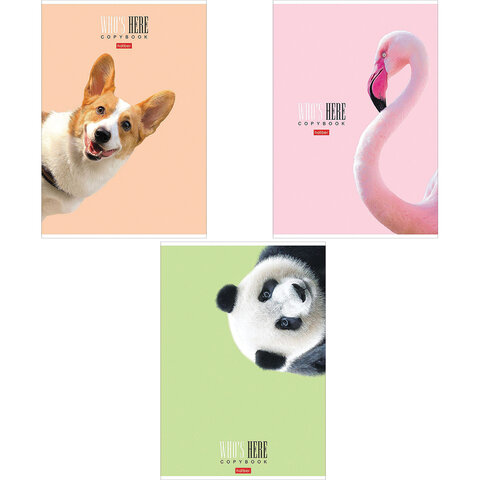 Тетрадь А4 96л. HATBER скоба, клетка, матовая ламинация, Кто здесь? (3 вида), 96Т4лВ1 113128