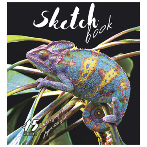 Изображение загружено обработкой