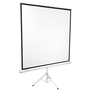 4926123ed27dd86cb628ff7426deb582_x