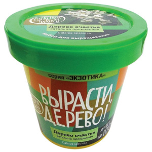 Изображение загружено обработкой