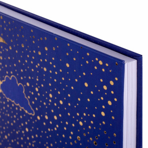 1bc08eaf382a4387b1df812cfdf44781_x