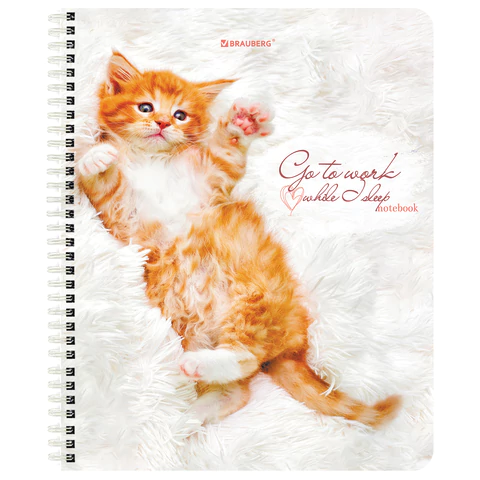 Тетрадь А5, 96 л., BRAUBERG, гребень, клетка, обложка картон, "Котики" (микс в спайке), 404425 - МСК «Форвард»