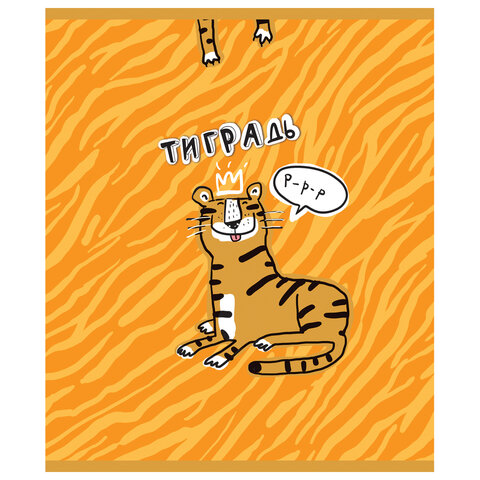 Тетрадь А5 48 л. ПЗБМ, скоба, клетка, фольга, конгрев, TWIN лак, "Тиградь" (5 видов), 029135 404334 - МСК «Форвард»