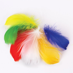 908a7dd20100ab31a0667b5d3c86c0ca_x