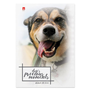 7277f7a0d2f42c75ac860d2be544c790_x