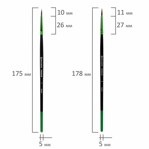 Кисти BRAUBERG PREMIUM, набор 5 шт. (из ворса пони круглые № 1, 2, 3, 4, 5), блистер, 201022 - МСК «Форвард»