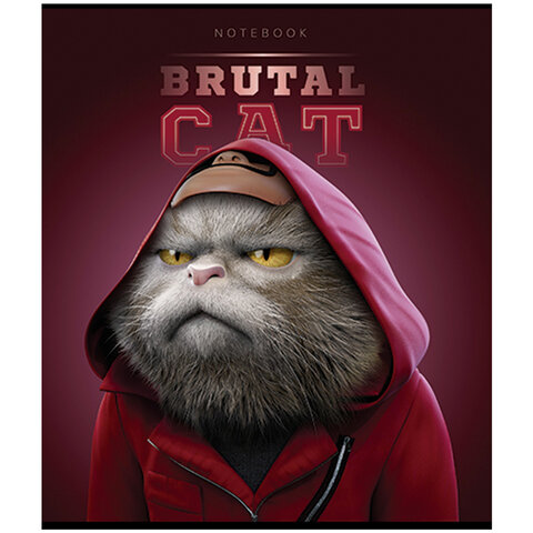 Тетрадь А5 48 л., ПЗБМ, скоба, клетка, конгрев, TWIN-лак, "Брутальные коты" (5 видов), 27391  405008 - МСК «Форвард»