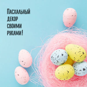 c049b18031bba50f52682c0af5fb8506_x