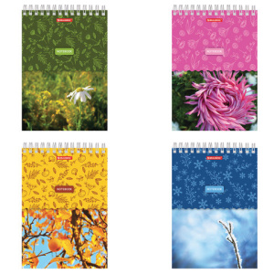 Изображение загружено обработкой