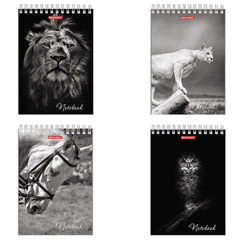 Блокнот А5 146х205мм, 60л, гребень, картон, подложка, клетка, BRAUBERG, Животные, 129810