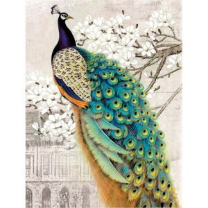 bfa28e2023e283fb74ea4537009b4a83_x