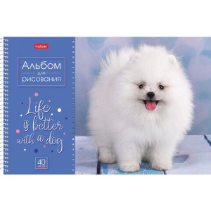 054c0cd2721eab23c47f20e7923d367d_x