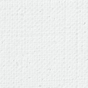 e93d96edf0f5678a02421d1e776b328e_x