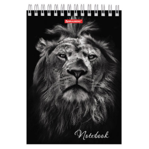 87ecd68dc84d42930d33605f29d2beb4_x