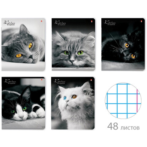 Тетрадь А5 48л. АЛЬТ скоба, клетка, глянцевый лак, Кошки. Яркий взгляд (5 видов), 7-48-1019 404114