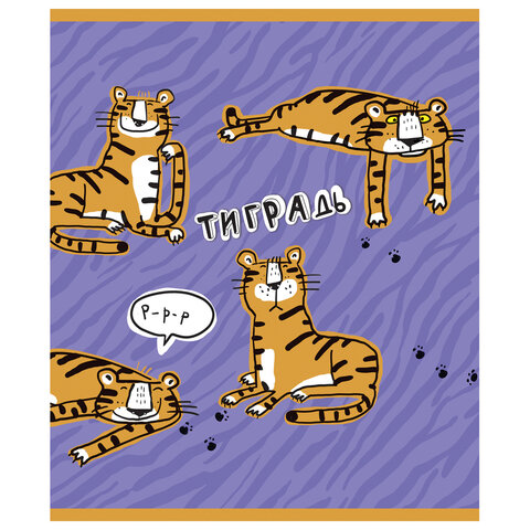 Тетрадь А5 48 л. ПЗБМ, скоба, клетка, фольга, конгрев, TWIN лак, "Тиградь" (5 видов), 029135 404334 - МСК «Форвард»