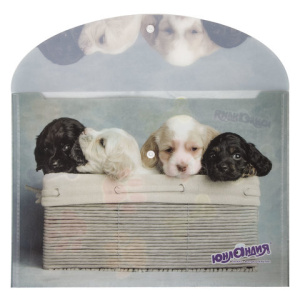 ee83af8807b9d59476da7b349acf793e_x