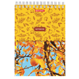 ffa23d03ea2cd9c73e75bfce4a38b61f_x