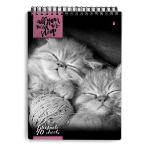 8190c40341638f343d4138671b9aa9a7_x