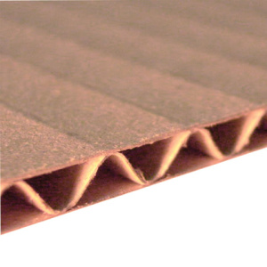 5fe975afccce09e98ee794cd9dc29756_x