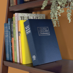 0e4e2fe3e748c54b92be19e67b2906da_x