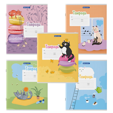 Тетрадь 12л. BRAUBERG линия, обложка картон, ОЗОРНЫЕ КОТЫ, 106472