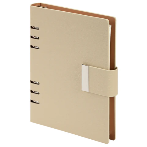 Ежедневник на кольцах в наборе с ручкой А5, 165x229 мм, BRAUBERG "Lux", под кожу, 100 листов, бежевый, 116859 - МСК «Форвард»