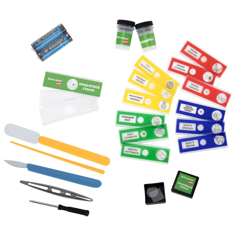 Микроскоп с подсветкой, 30 предметов, в т.ч. набор из 12 микропрепаратов в подарок, увеличение 100х, 400х, 1200х, BRAUBERG KIDS, 391400 - МСК «Форвард»