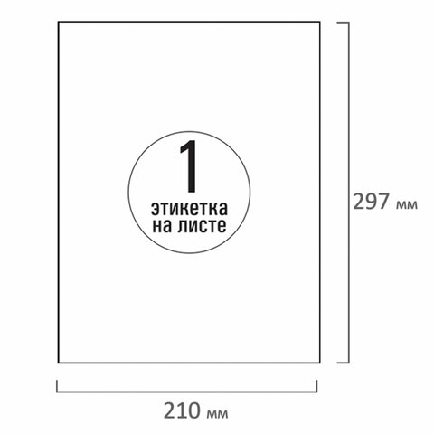 Этикетка самоклеящаяся 210х297 мм, 1 этикетка, белая, 70 г/м2, 100 листов, TANEX, сырье Финляндия, 114543, TW-2000 114543 - МСК «Форвард»